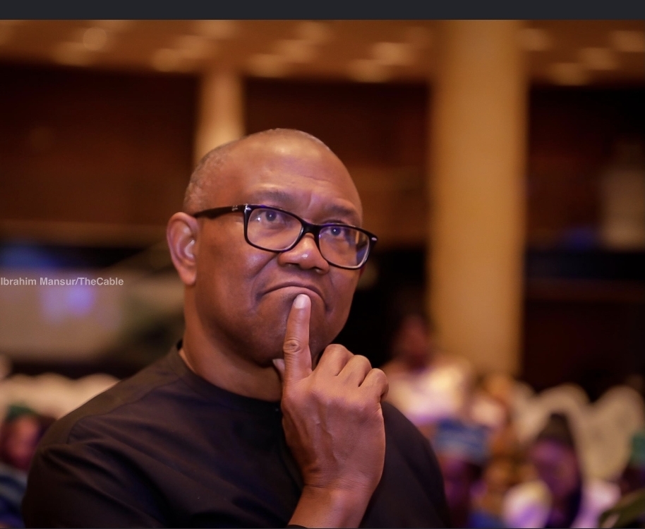 Presidency Addresses Peter Obi's Safety Concerns Amidst Political Tensions