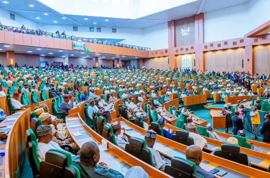 Nigerian House of Representatives Launches Probe into Alleged Funding of Presidential Foreign Investment Promotion Council
