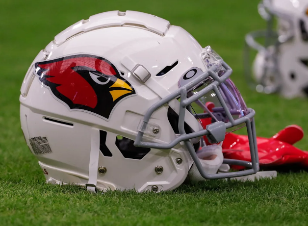 Former Arizona Cardinals Tight End Travis Vokolek Retires From NFL After Three Seasons Following Injury
